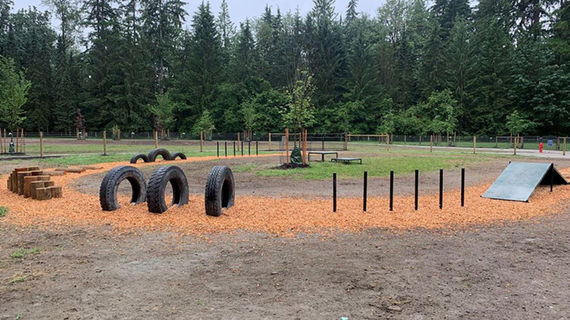 Maple Ridge Park dog-off leash with exciting obstacles for dogs